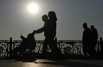 1C2C46F8258A2E6D9511811B0D00E9Fc Лдпр Предлагает Законопроект О Содержании Детей Родителями До 23 Лет При Учебе 2