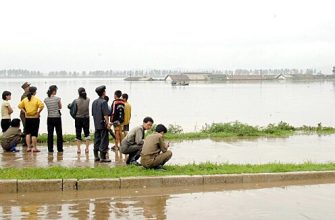 9A2Beccc8Fc2Ab4484335061C0041E5B Путин Выразил Поддержку Кндр После Трагических Наводнений На Северо-Западе Страны 10
