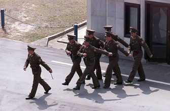 D0C565E7F2671736C15C4522Dab8Db0A Госдума: Северокорейские Военные Пока Не Готовы Поддержать Россию В Сво 3
